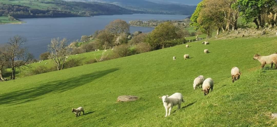 Lake View Farmhouse Escape Bala Eksteriør billede